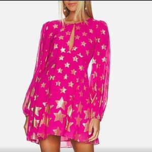 NWT LoveShackFancy Ivette Dress in Very Berry Size 4 Revolve